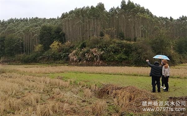 鹰潭市陈老师带着爱徒寻龙点穴